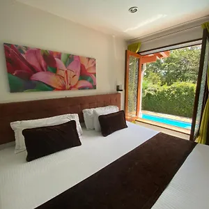 Boutique Rosas 5 G Hotel Medellin